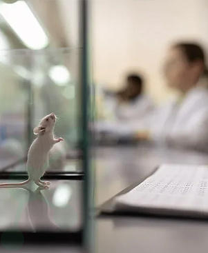 专业团队 �U�技创新